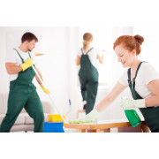 Trabajo de limpieza de casas (240) 540-9682 job image