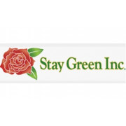 STAY GREEN